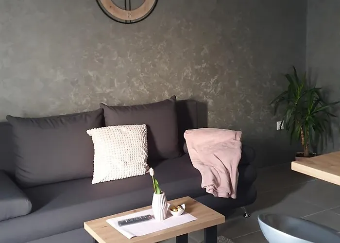 Appartement Basarac