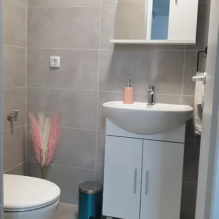 Basarac 公寓 Gračac