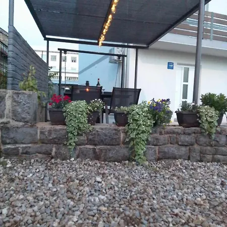 Apartment Basarac *